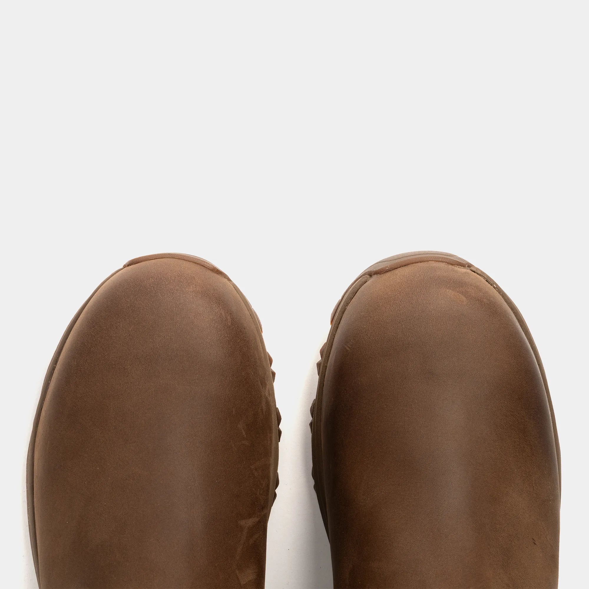 RIBCHESTER // CONKER DISTRESSED